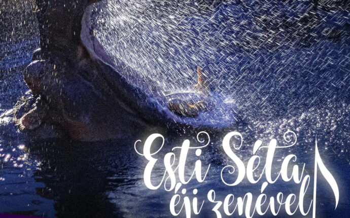 allatkert-esti-seta